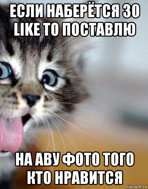 если наберётся 30 like то поставлю на аву фото того кто нравится