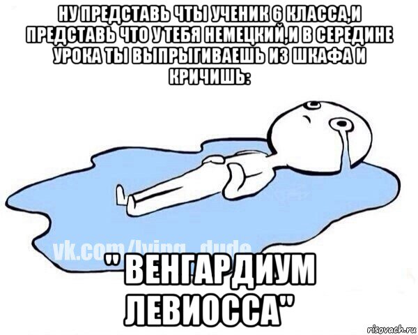 ну представь чты ученик 6 класса,и представь что у тебя немецкий,и в середине урока ты выпрыгиваешь из шкафа и кричишь: " венгардиум левиосса", Мем Этот момент когда