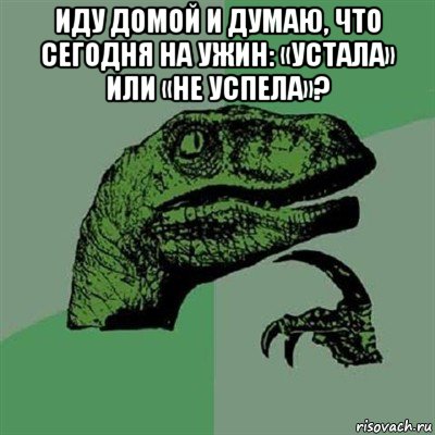 иду домой и думаю, что сегодня на ужин: «устала» или «не успела»? , Мем Филосораптор