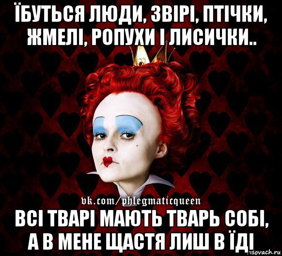 їбуться люди, звірі, птічки, жмелі, ропухи і лисички.. всі тварі мають тварь собі, а в мене щастя лиш в їді, Мем ФлегматичнА КоролевА ФаК