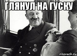 глянул на гуску 