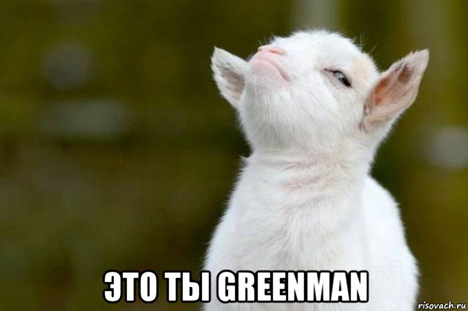  это ты greenman, Мем  Гордый козленок