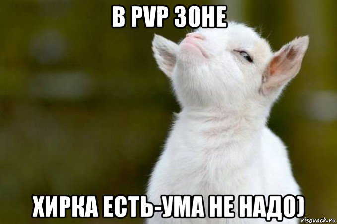 в pvp зоне хирка есть-ума не надо), Мем  Гордый козленок