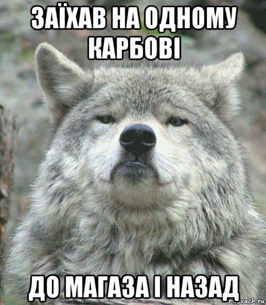 заїхав на одному карбові до магаза і назад, Мем    Гордый волк