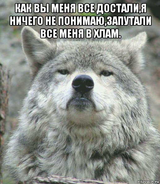 как вы меня все достали,я ничего не понимаю,запутали все меня в хлам. , Мем    Гордый волк