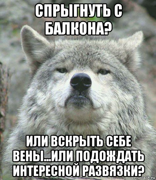 спрыгнуть с балкона? или вскрыть себе вены...или подождать интересной развязки?, Мем    Гордый волк