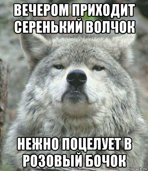 вечером приходит серенький волчок нежно поцелует в розовый бочок, Мем    Гордый волк