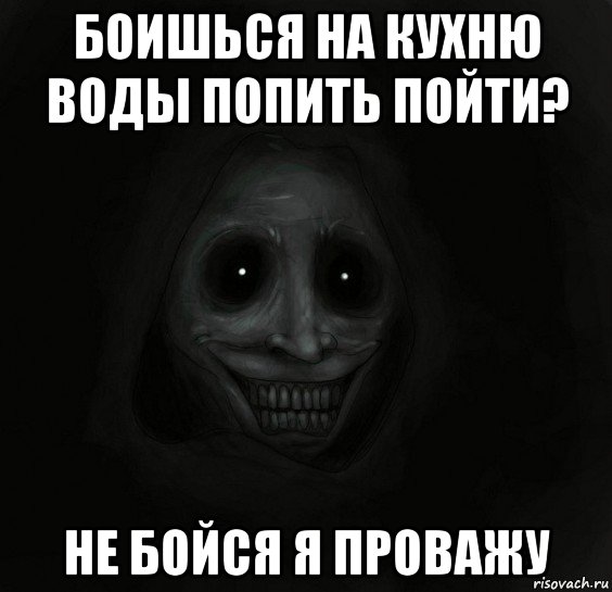 боишься на кухню воды попить пойти? не бойся я проважу, Мем Ночной гость