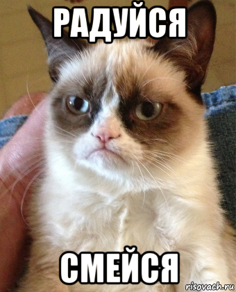 радуйся смейся, Мем Grumpy Cat small