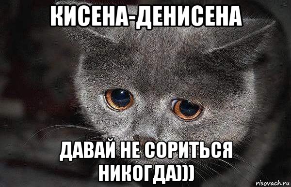 кисена-денисена давай не сориться никогда))), Мем  Грустный кот