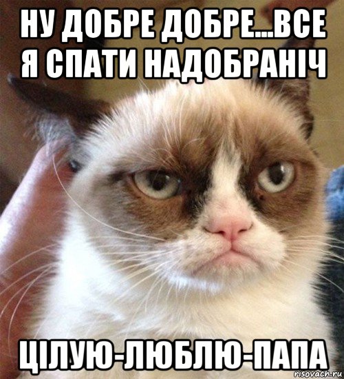 ну добре добре...все я спати надобраніч цілую-люблю-папа, Мем Грустный (сварливый) кот