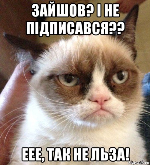 зайшов? і не підписався?? еее, так не льза!, Мем Грустный (сварливый) кот