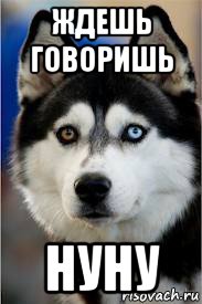 ждешь говоришь нуну