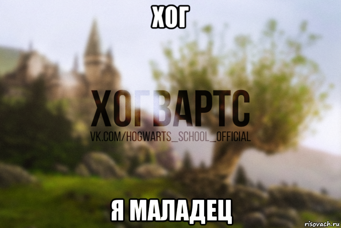 хог я маладец