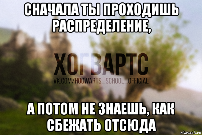 сначала ты проходишь распределение, а потом не знаешь, как сбежать отсюда
