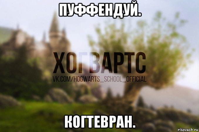 пуффендуй. когтевран.