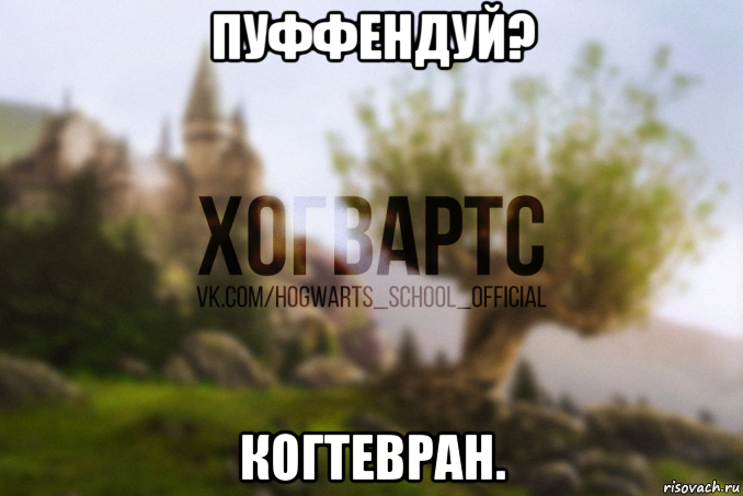пуффендуй? когтевран.