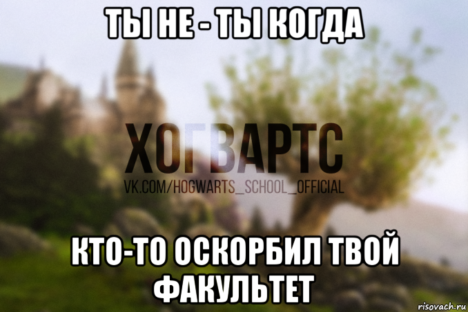ты не - ты когда кто-то оскорбил твой факультет