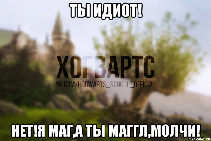 ты идиот! нет!я маг,а ты маггл,молчи!