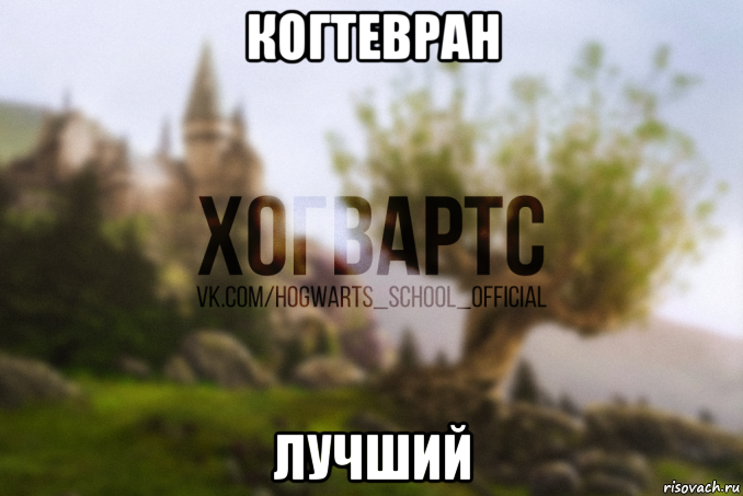 когтевран лучший