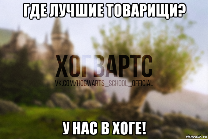 где лучшие товарищи? у нас в хоге!