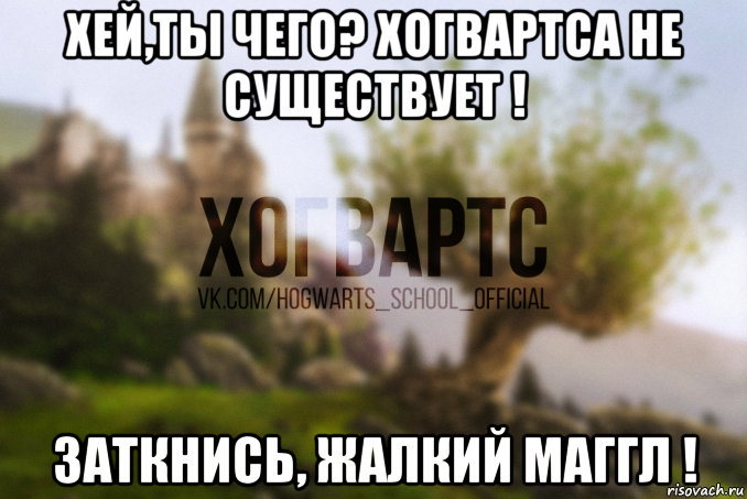 хей,ты чего? хогвартса не существует ! заткнись, жалкий маггл !