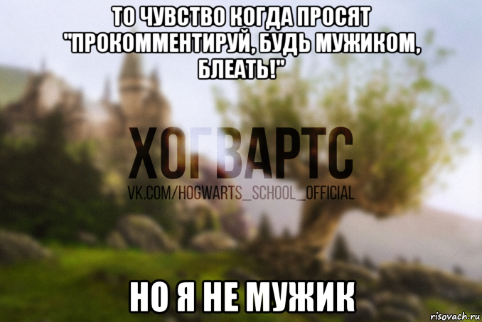 то чувство когда просят "прокомментируй, будь мужиком, блеать!" но я не мужик