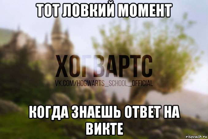 тот ловкий момент когда знаешь ответ на викте