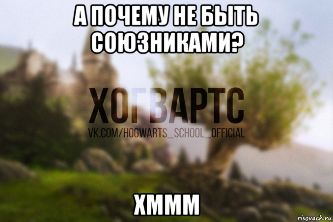 а почему не быть союзниками? хммм
