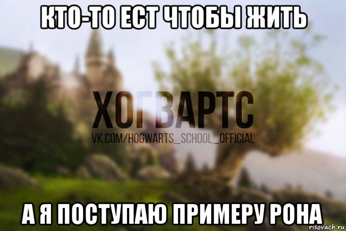 кто-то ест чтобы жить а я поступаю примеру рона
