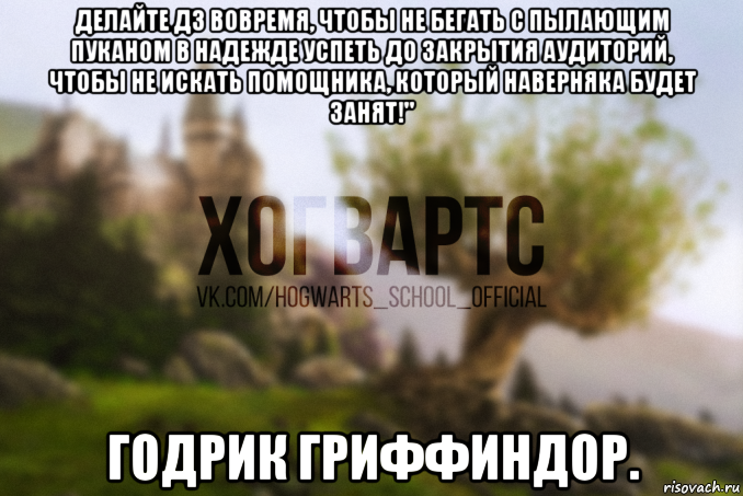 делайте дз вовремя, чтобы не бегать с пылающим пуканом в надежде успеть до закрытия аудиторий, чтобы не искать помощника, который наверняка будет занят!" годрик гриффиндор., Мем Хогвартс