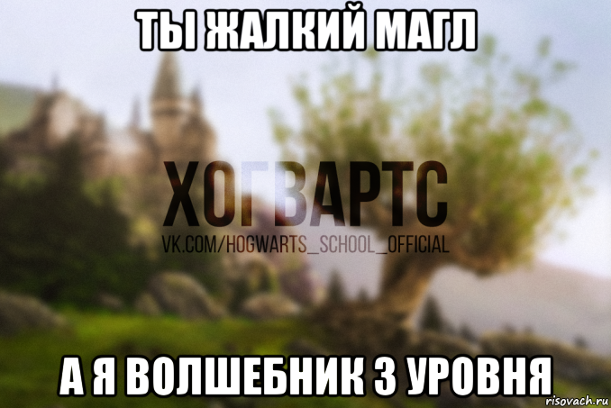 ты жалкий магл а я волшебник 3 уровня, Мем Хогвартс