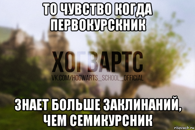 то чувство когда первокурскник знает больше заклинаний, чем семикурсник, Мем Хогвартс