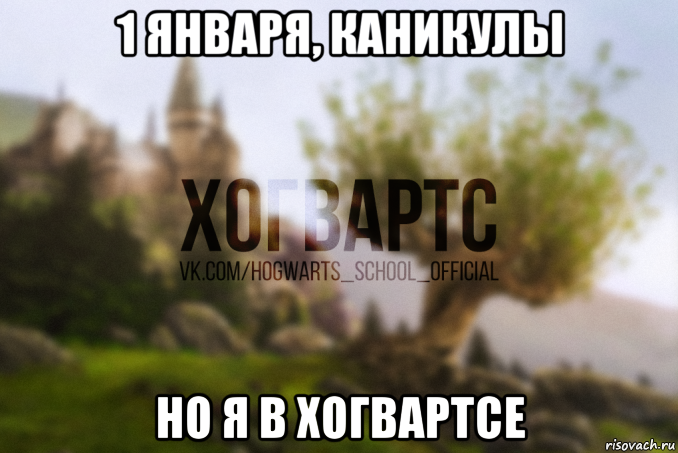1 января, каникулы но я в хогвартсе, Мем Хогвартс