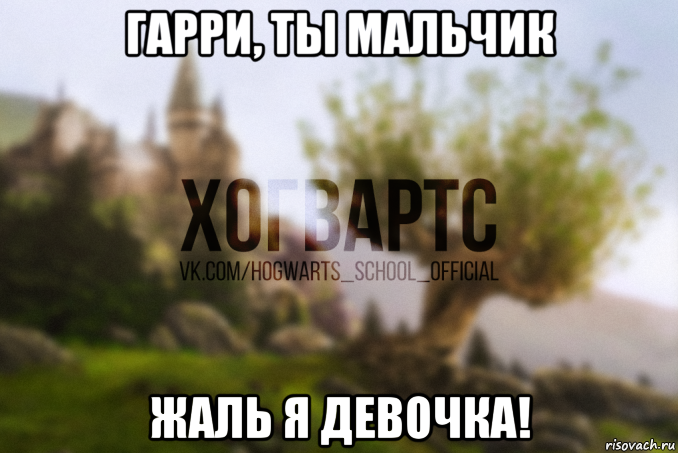 гарри, ты мальчик жаль я девочка!, Мем Хогвартс
