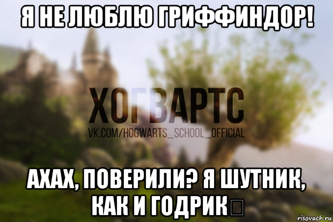 я не люблю гриффиндор! ахах, поверили? я шутник, как и годрик❤, Мем Хогвартс