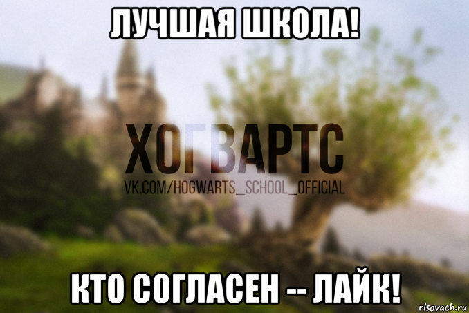 лучшая школа! кто согласен -- лайк!, Мем Хогвартс