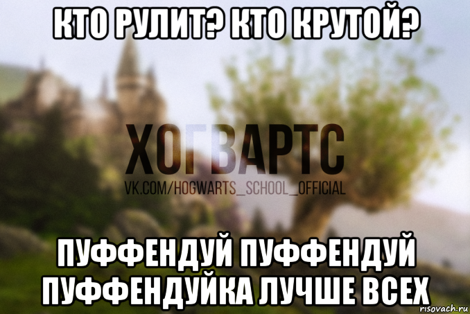 кто рулит? кто крутой? пуффендуй пуффендуй пуффендуйка лучше всех, Мем Хогвартс