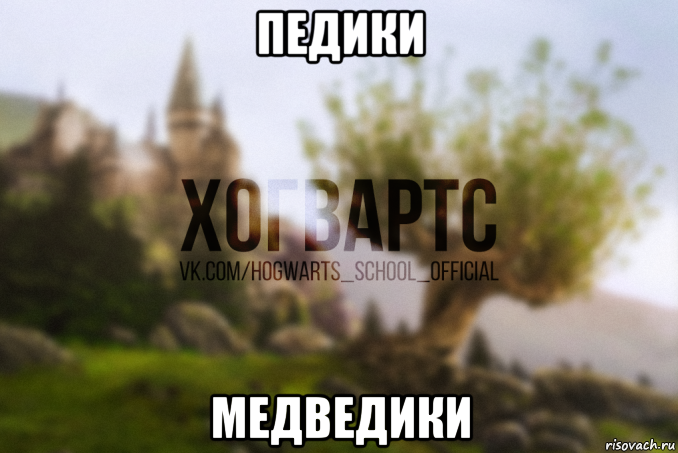 педики медведики, Мем Хогвартс