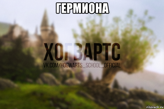 гермиона , Мем Хогвартс