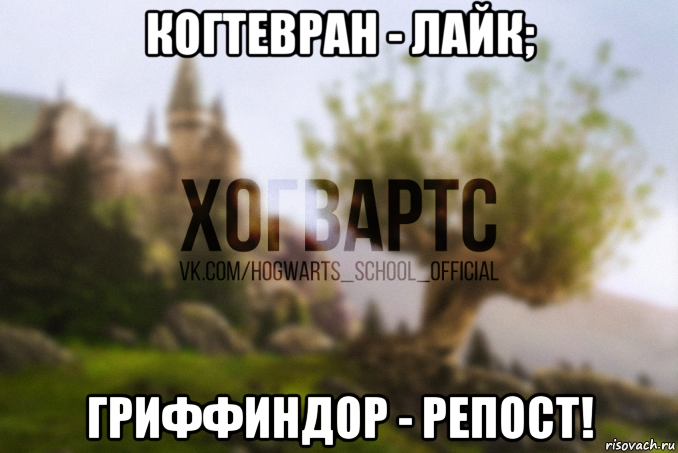 когтевран - лайк; гриффиндор - репост!