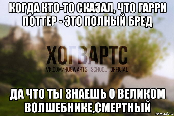 когда кто-то сказал, что гарри поттер - это полный бред да что ты знаешь о великом волшебнике,смертный