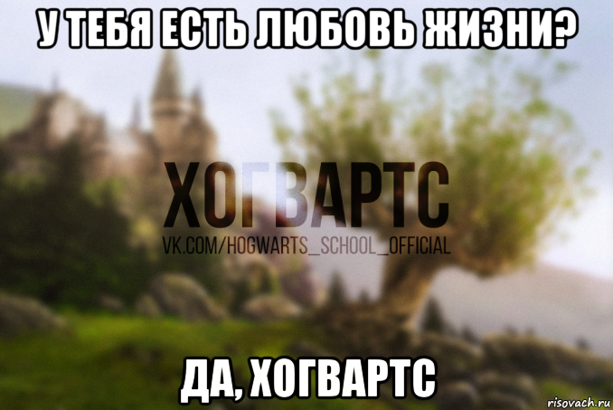 у тебя есть любовь жизни? да, хогвартс