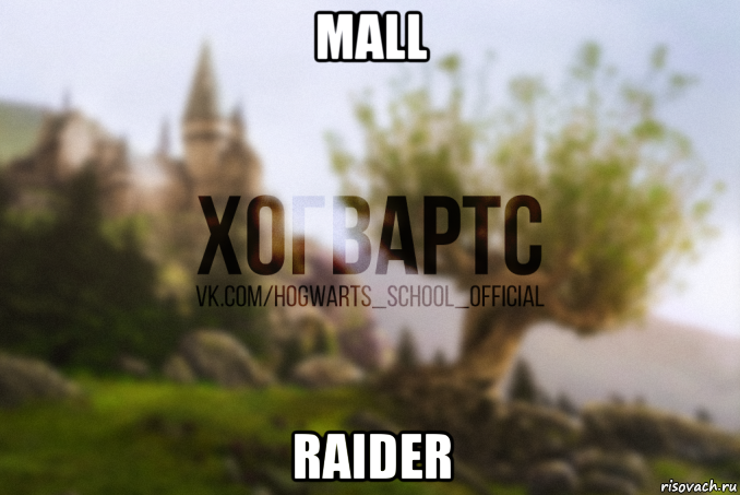 mall raider