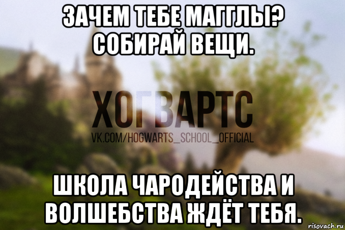 зачем тебе магглы? собирай вещи. школа чародейства и волшебства ждёт тебя.