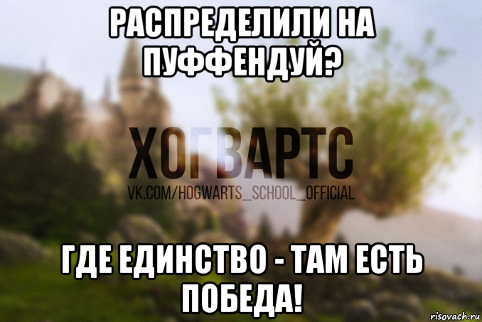 распределили на пуффендуй? где единство - там есть победа!