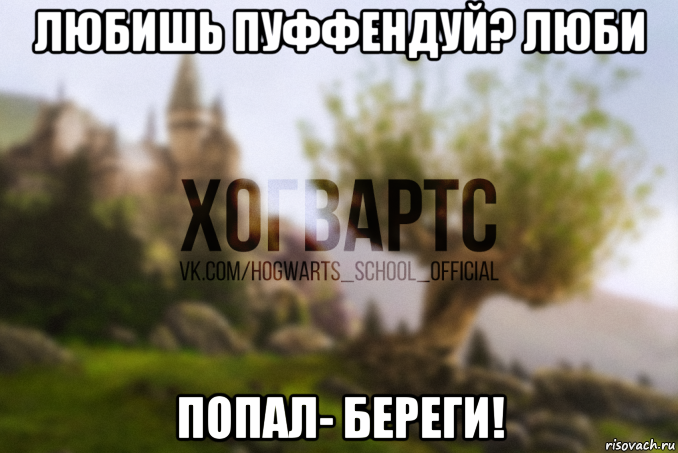 любишь пуффендуй? люби попал- береги!
