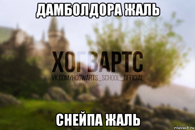 дамболдора жаль снейпа жаль