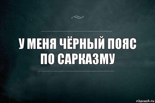 У меня чёрный пояс по сарказму, Комикс Игра Слов