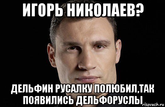 игорь николаев? дельфин русалку полюбил,так появились дельфоруслы, Мем Кличко